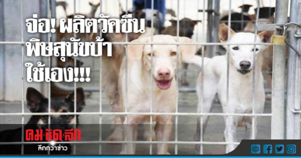 "ปศุสัตว์"จ่อตั้งโรงงานผลิตวัคซีนพิษสุนัขบ้า "ปศุสัตว์"จ่อตั้งโรงงานผลิตวัคซีนพิษสุนัขบ้า