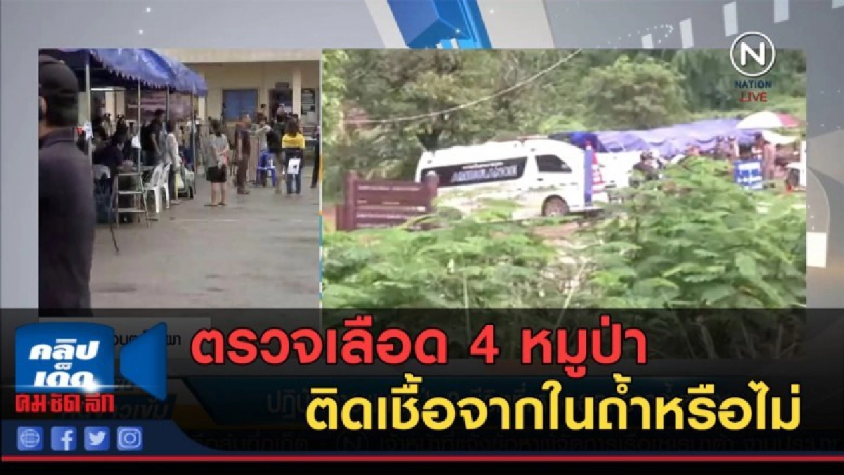 (คลิปข่าว) ตรวจเลือด 4 หมูป่าติดเชื้อจากในถ้ำหรือไม่ (คลิปข่าว) ตรวจเลือด 4 หมูป่าติดเชื้อจากในถ้ำหรือไม่