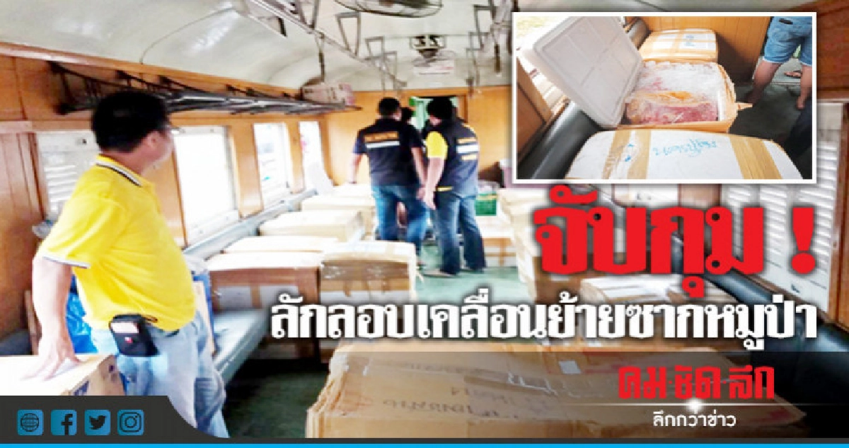 จับ ! ลักลอบเคลื่อนย้ายซากหมูป่า 1,000 กิโล