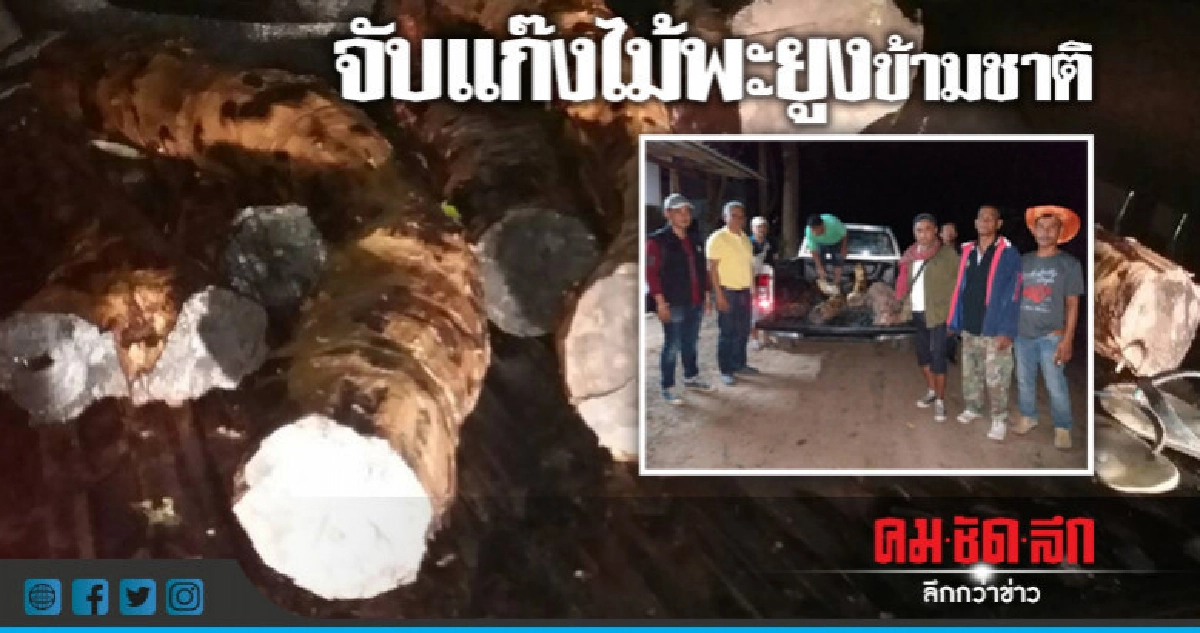 จับแก๊งไม้พะยูงข้ามชาติ จับแก๊งไม้พะยูงข้ามชาติ