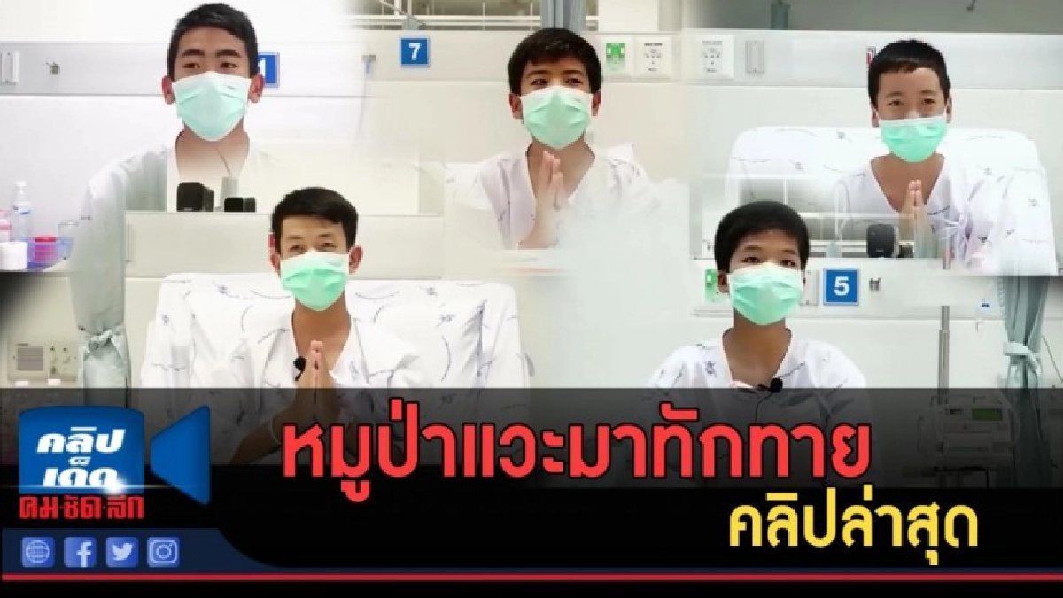 (คลิปข่าว) หมูป่าแวะมาทักทาย