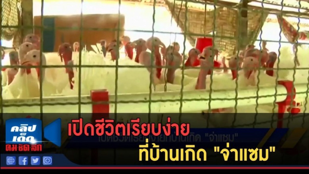 (คลิปข่าว) เปิดชีวิตเรียบง่ายที่บ้านเกิด "จ่าแซม" (คลิปข่าว) เปิดชีวิตเรียบง่ายที่บ้านเกิด "จ่าแซม"