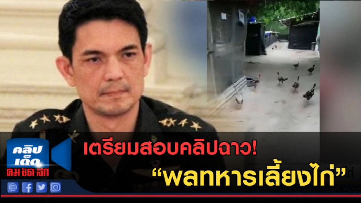 (คลิปข่าว) เตรียมสอบคลิป "พลทหาร" ถูกสั่งเลี้ยงไก่ (คลิปข่าว) เตรียมสอบคลิป "พลทหาร" ถูกสั่งเลี้ยงไก่