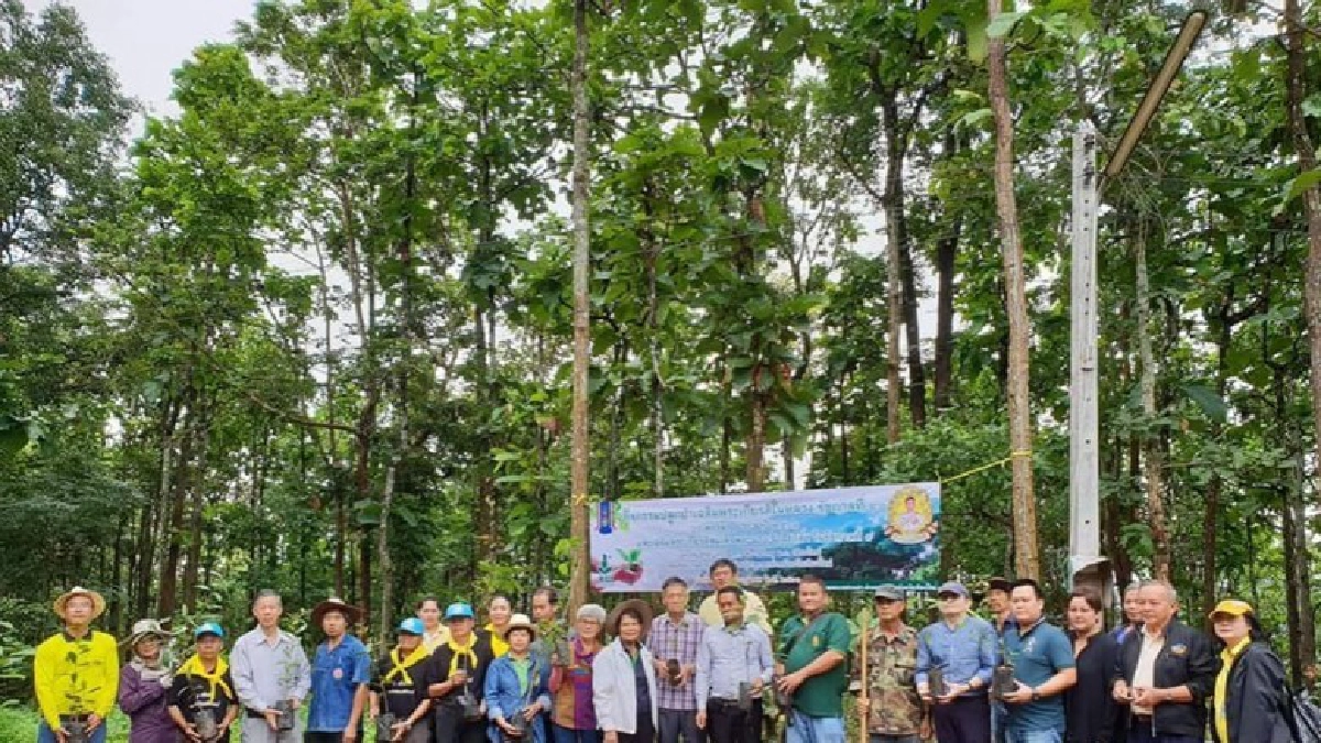 สถานีวิทยุมก.ผนึกเครือข่าย"ปลูกป่าเฉลิมพระเกียรติในหลวงร.10" สถานีวิทยุมก.ผนึกเครือข่าย"ปลูกป่าเฉลิมพระเกียรติในหลวงร.10"