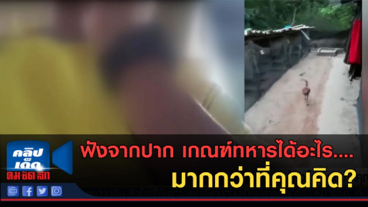 (คลิปข่าว) เกณฑ์ทหาร...ได้อะไรมากกว่าที่คุณคิด?