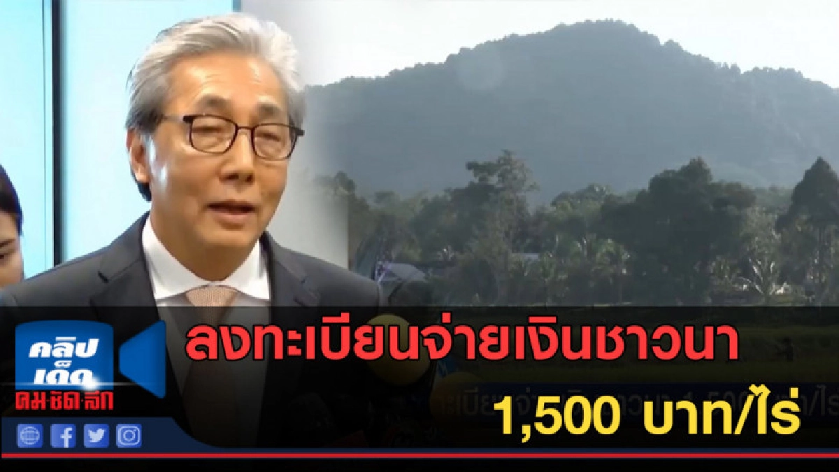 (คลิปข่าว) ลงทะเบียนจ่ายเงินชาวนา 1,500 บาท/ไร่ (คลิปข่าว) ลงทะเบียนจ่ายเงินชาวนา 1,500 บาท/ไร่