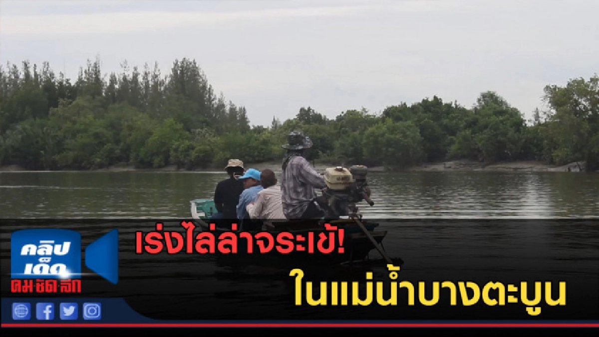 (คลิปข่าว) เร่งไล่ล่าจระเข้ในแม่น้ำบางตะบูน (คลิปข่าว) เร่งไล่ล่าจระเข้ในแม่น้ำบางตะบูน