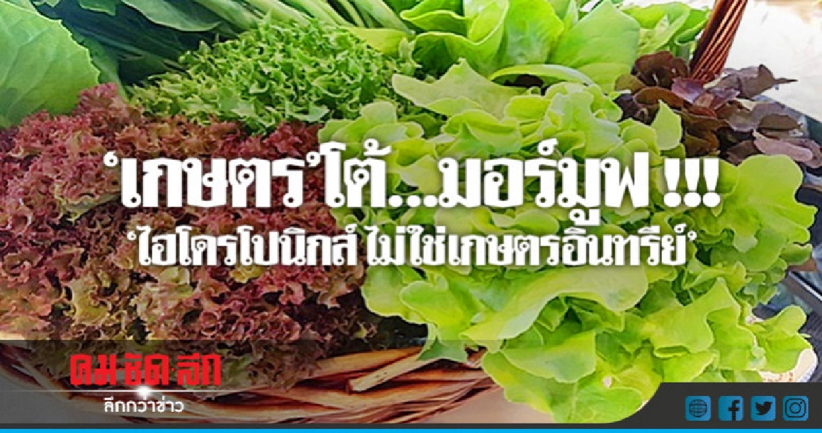"เกษตร"โต้...มอร์มูฟ !!! "ไฮโดรโปนิกส์ ไม่ใช่เกษตรอินทรีย์" "เกษตร"โต้...มอร์มูฟ !!! "ไฮโดรโปนิกส์ ไม่ใช่เกษตรอินทรีย์"