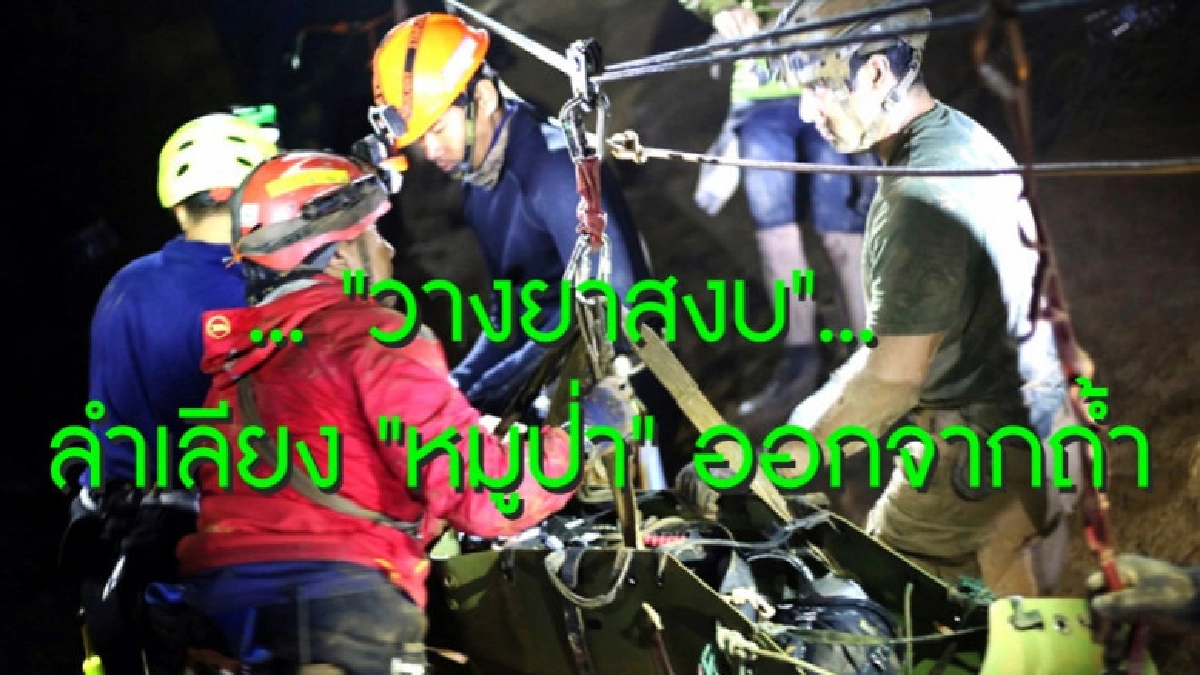 ไขปมพา"หมูป่า"ออกจากถ้ำวาง "ยาสงบ" ไขปมพา"หมูป่า"ออกจากถ้ำวาง "ยาสงบ"