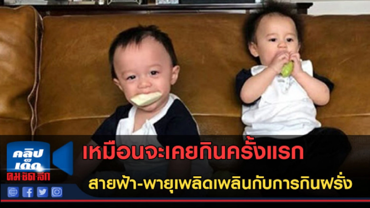 (คลิปข่าว) สุดน่ารัก..สายฟ้า-พายุเพลิดเพลินกับการกินฝรั่ง (คลิปข่าว) สุดน่ารัก..สายฟ้า-พายุเพลิดเพลินกับการกินฝรั่ง