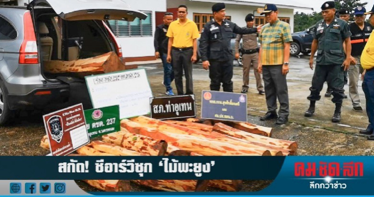 สกัดจับ!! 'ซีอาร์วี' ซุกไม้พะยูง