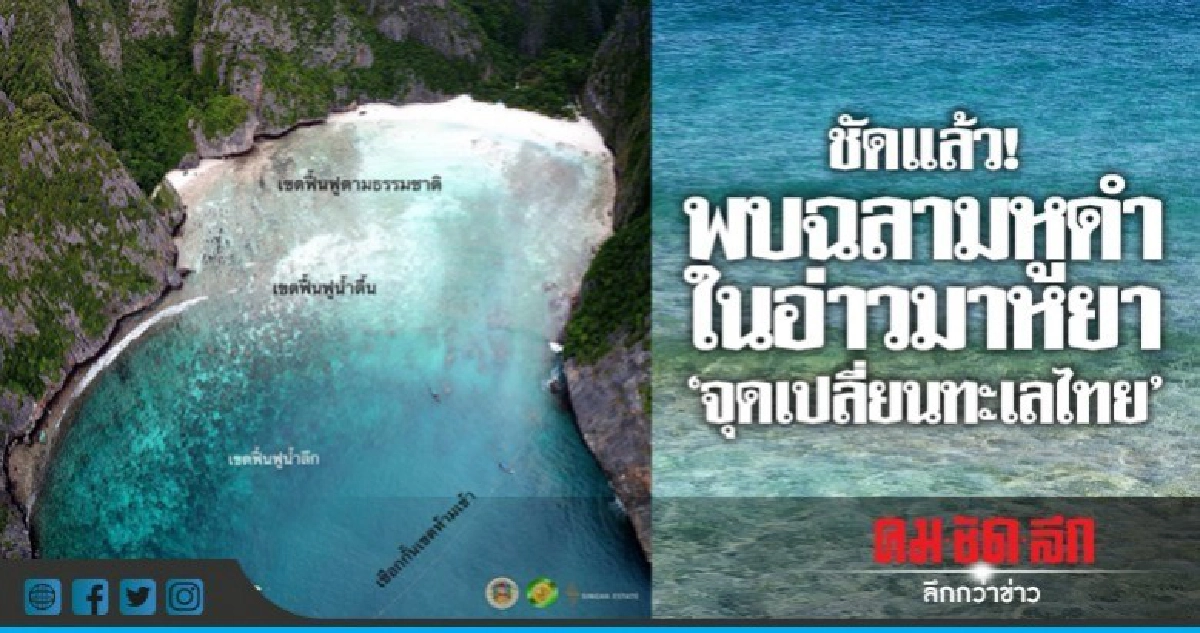 ชัดแล้ว!พบฉลามหูดำในอ่าวมาหยา 'จุดเปลี่ยนทะเลไทย' ชัดแล้ว!พบฉลามหูดำในอ่าวมาหยา 'จุดเปลี่ยนทะเลไทย'