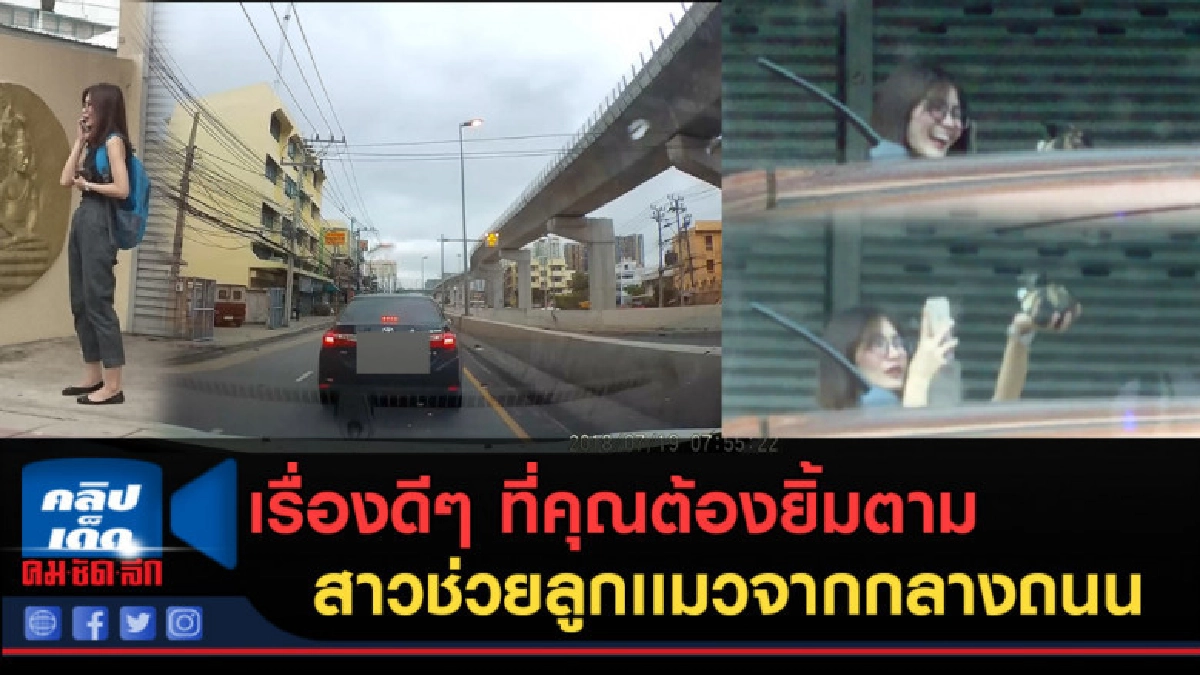 (คลิปข่าว) เรื่องดีๆ ที่ต้องยิ้มตามสาวช่วยลูกเเมวจากกลางถนน (คลิปข่าว) เรื่องดีๆ ที่ต้องยิ้มตามสาวช่วยลูกเเมวจากกลางถนน