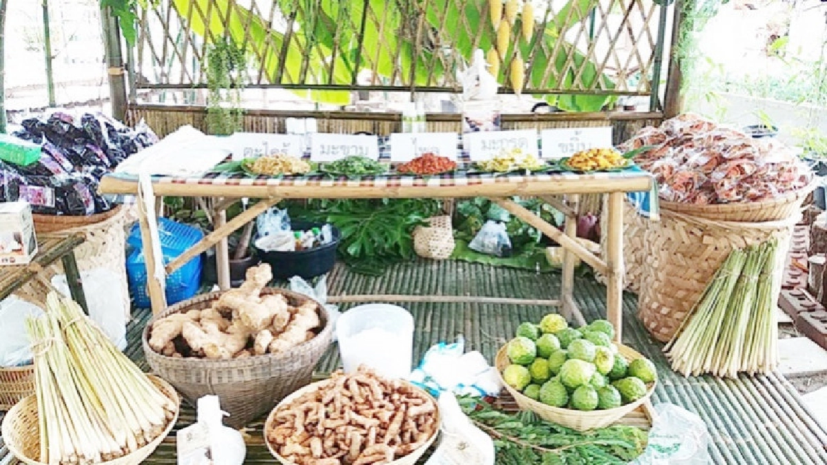 "สระบุรี"จัดงาน"เมืองสมุนไพรหัวใจยืนยาว"เพิ่มช่องทางตลาด "สระบุรี"จัดงาน"เมืองสมุนไพรหัวใจยืนยาว"เพิ่มช่องทางตลาด