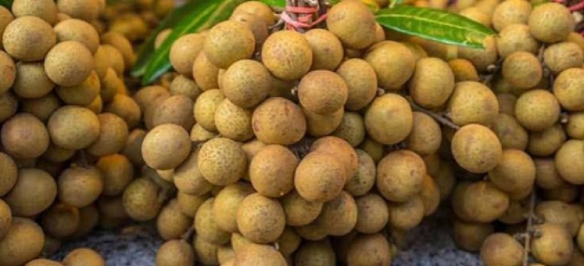 จับมือไปรษณีย์ไทย กระจายลำไยสดด่วนทันใจถึงผู้บริโภคทั่วไทย