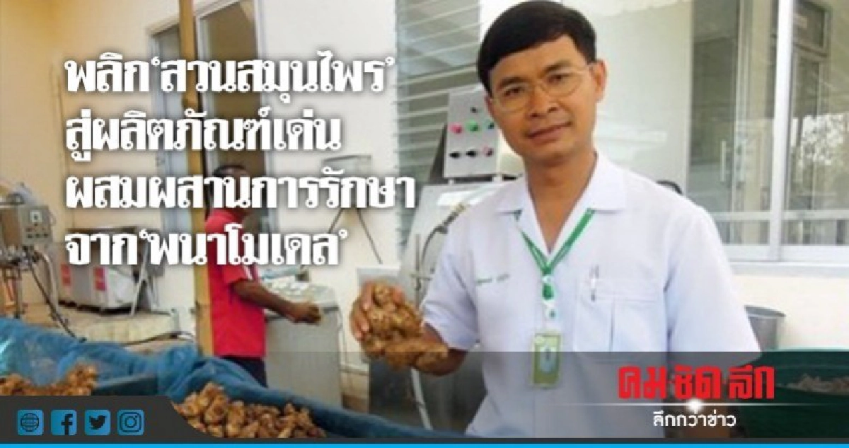พลิก'สวนสมุนไพร'สู่ผลิตภัณฑ์เด่น ผสานการรักษาจาก'พนาโมเดล' พลิก'สวนสมุนไพร'สู่ผลิตภัณฑ์เด่น ผสานการรักษาจาก'พนาโมเดล'