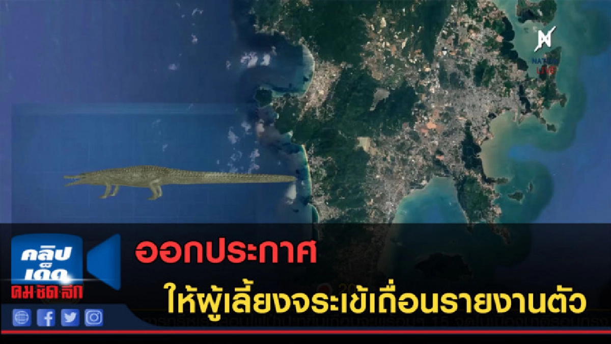 (คลิปข่าว) ประกาศให้ผู้เลี้ยงจระเข้เถื่อนรายงานตัว