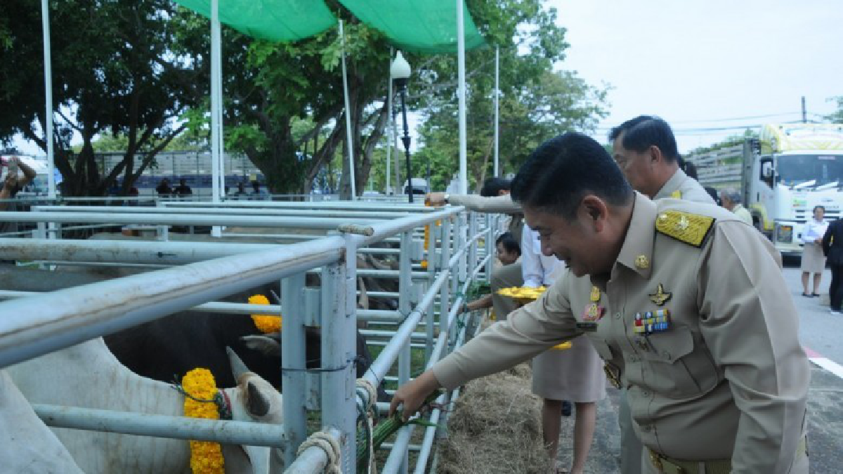 เกษตรฯ จัดพิธีไถ่ชีวิตโค-กระบือ ถวายเป็นพระราชกุศล