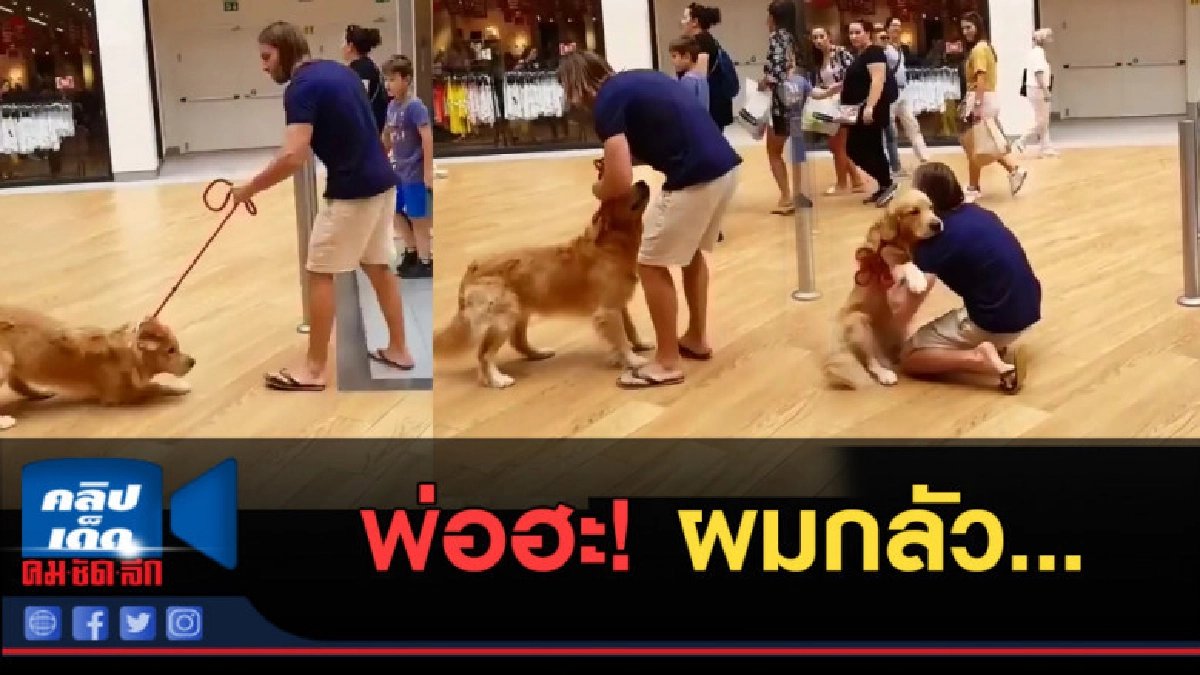 (คลิปข่าว) เหตุเกิดเมื่อน้องหมาต้องขึ้นบันไดเลื่อน (คลิปข่าว) เหตุเกิดเมื่อน้องหมาต้องขึ้นบันไดเลื่อน