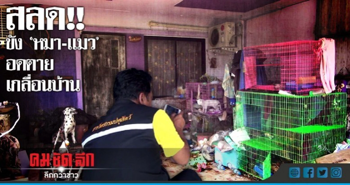 สุดสลด! ครูขัง'หมา-แมว'อดข้าว-น้ำตายเกลื่อนบ้าน สุดสลด! ครูขัง'หมา-แมว'อดข้าว-น้ำตายเกลื่อนบ้าน