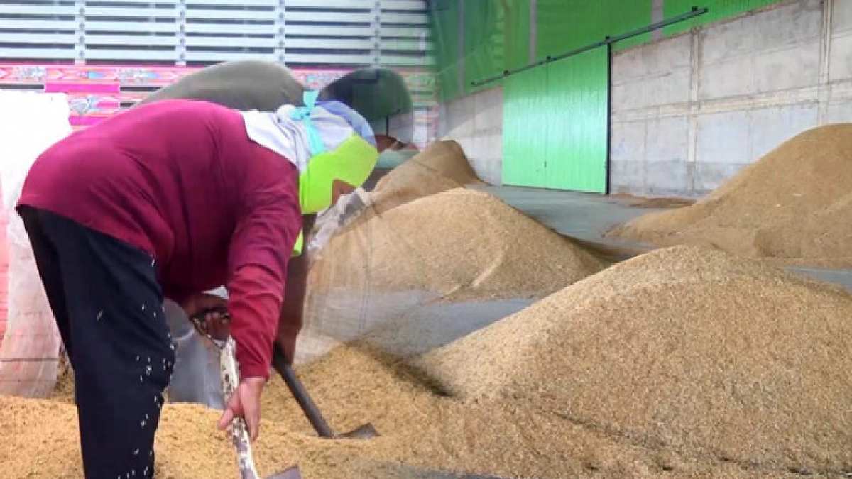 อตก.เร่งฟ้องแพ่ง79คดีข้าวจำนำหายภายในเดือน ก.ย.นี้ 