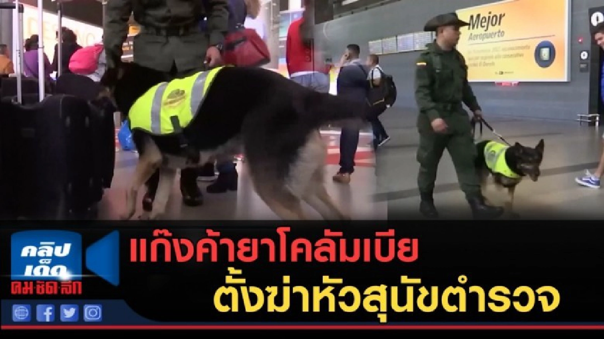 (คลิปข่าว) แก๊งค้ายาโคลัมเบีย ตั้งฆ่าหัวสุนัขตำรวจ