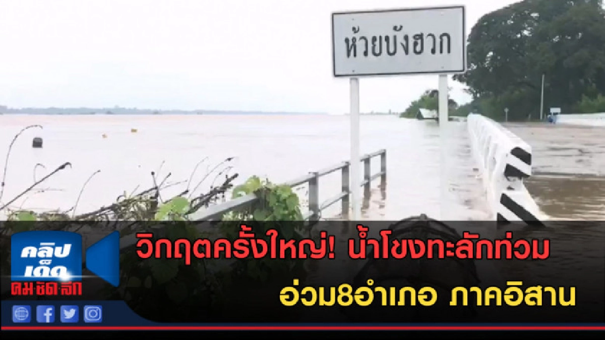 (คลิปข่าว) ฝนถล่มหนัก ไร่ นา เสียหาย ท่วมแล้ว 8 อำเภอ