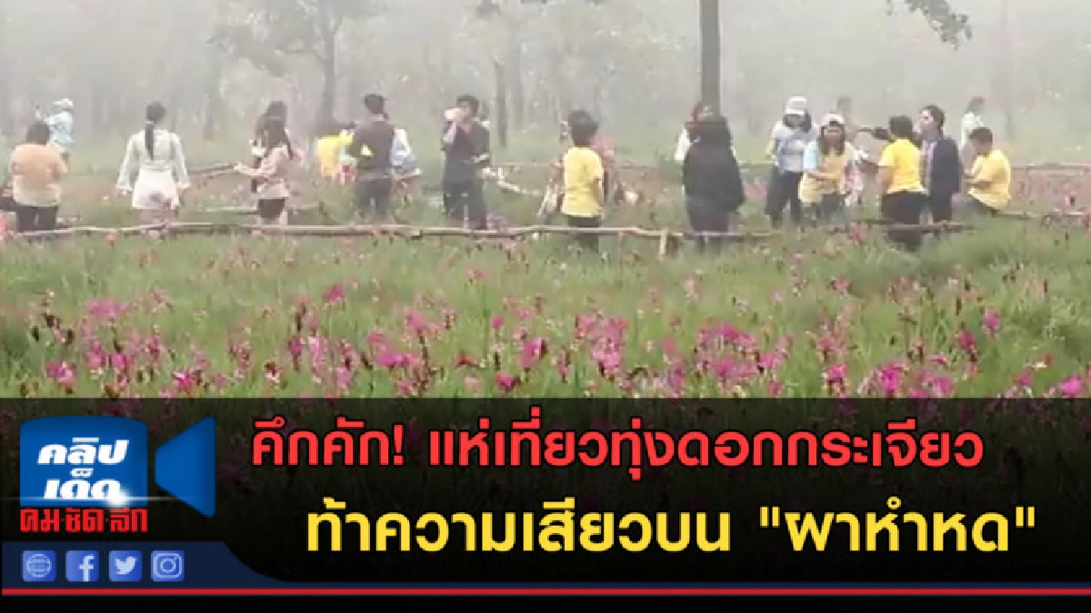 (คลิปข่าว) แห่เที่ยวทุ่งดอกกระเจียว ท้าความเสียวบน "ผาหำหด" (คลิปข่าว) แห่เที่ยวทุ่งดอกกระเจียว ท้าความเสียวบน "ผาหำหด"