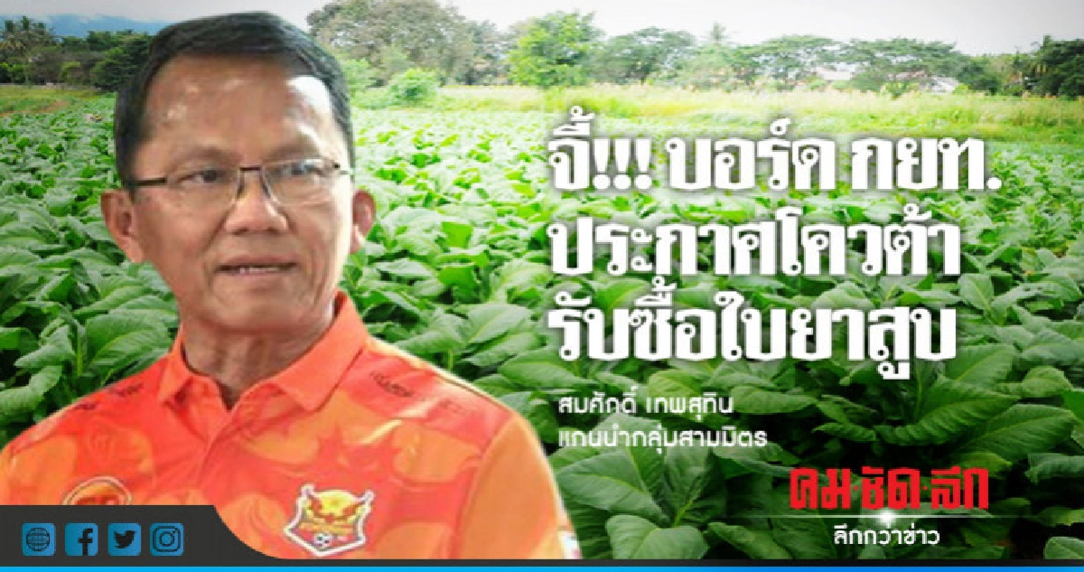 จี้ ! บอร์ดกยท.ประกาศโควต้ารับซื้อใบยาสูบ จี้ ! บอร์ดกยท.ประกาศโควต้ารับซื้อใบยาสูบ