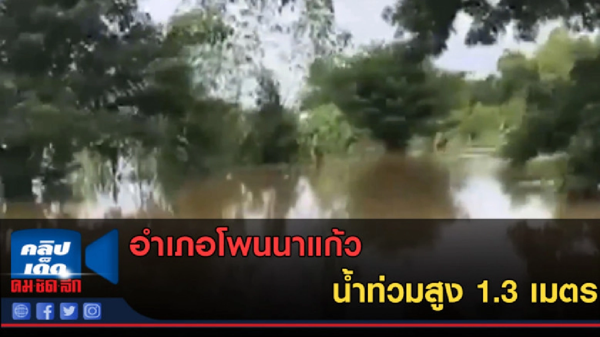 (คลิปข่าว) อำเภอโพนนาแก้ว น้ำท่วมสูง 1.3 เมตร
