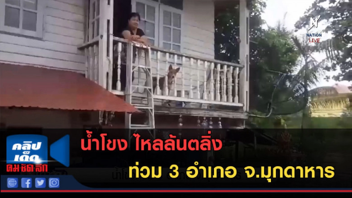 (คลิปข่าว) น้ำโขงท่วม 3 อำเภอ จ.มุกดาหาร (คลิปข่าว) น้ำโขงท่วม 3 อำเภอ จ.มุกดาหาร