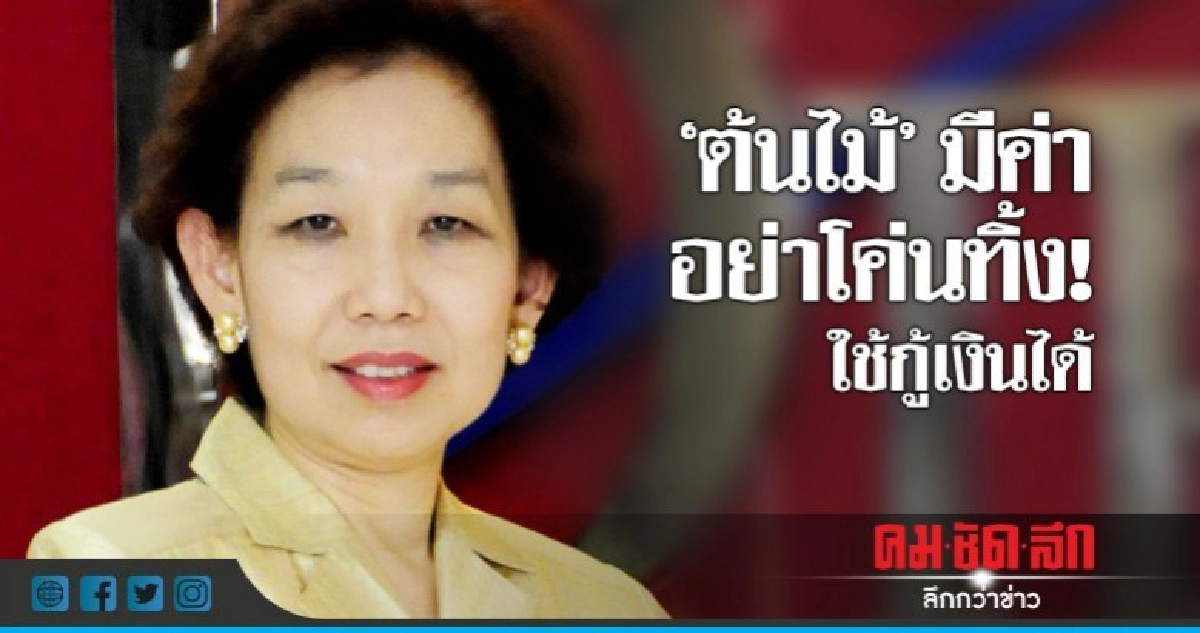 "สนธิรัตน์" ปลดล็อค! ให้ต้นไม้ 58 ชนิด ค้ำกู้เงิน "สนธิรัตน์" ปลดล็อค! ให้ต้นไม้ 58 ชนิด ค้ำกู้เงิน