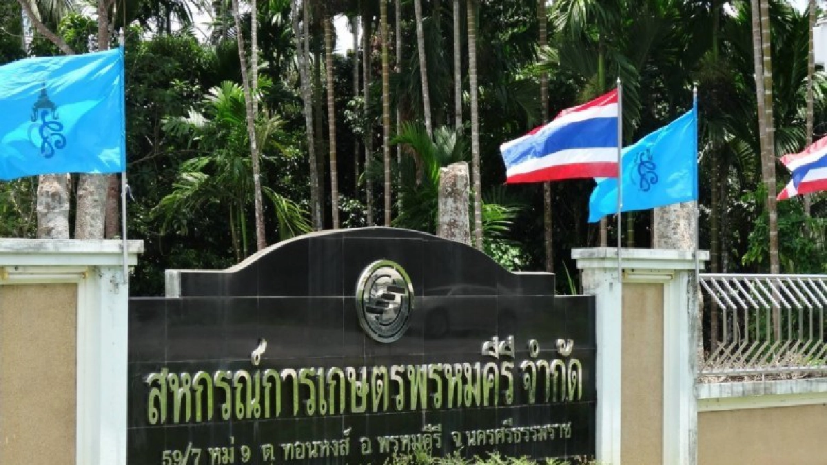 สหกรณ์การเกษตรพรหมคีรีผลิตมังคุดคุณภาพ ส่งออกตลาดจีน