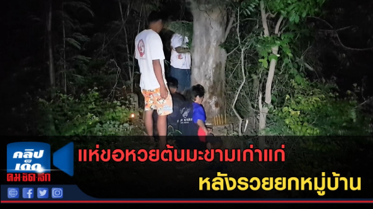 (คลิปข่าว)แห่ขอหวยต้นมะขามเก่าแก่ หลังรวยยกหมู่บ้าน (คลิปข่าว)แห่ขอหวยต้นมะขามเก่าแก่ หลังรวยยกหมู่บ้าน