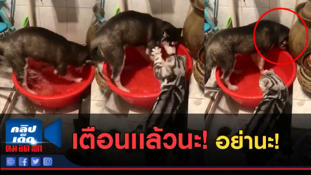 (คลิปข่าว) เตือนเเล้วนะอย่าดื้อนะ มันเปลืองน้ำนะ