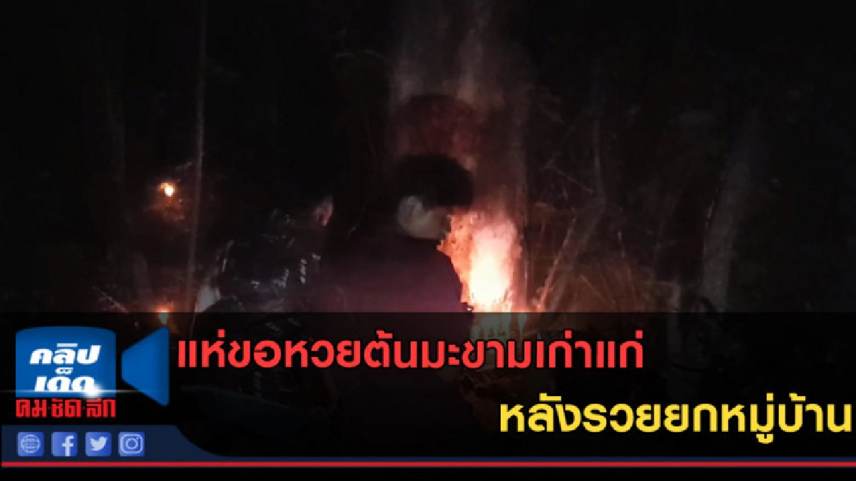 (คลิปข่าว)แห่ขอหวยต้นมะขามเก่าแก่ หลังรวยยกหมู่บ้าน (คลิปข่าว)แห่ขอหวยต้นมะขามเก่าแก่ หลังรวยยกหมู่บ้าน