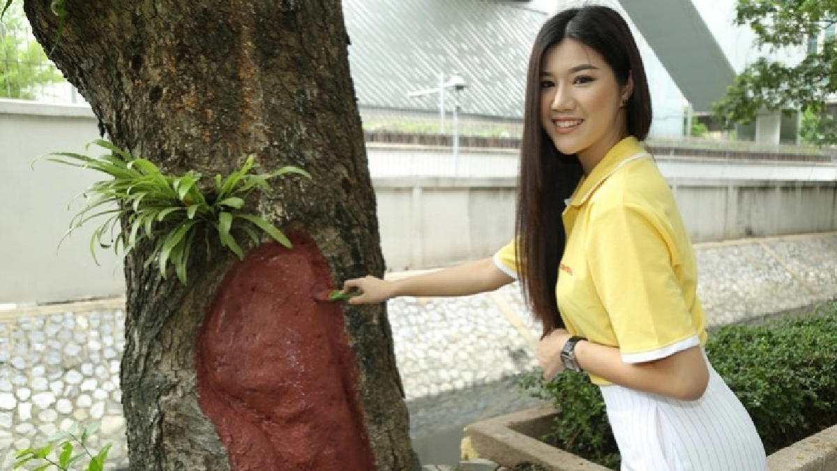 รวมพลังความดีถวายสมเด็จพระเจ้าอยู่หัว