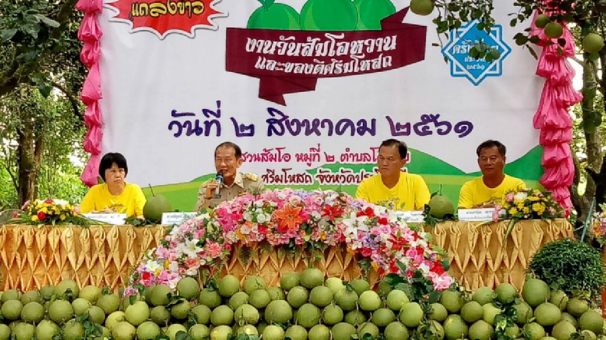 ปราจีนบุรีจัดงาน"วันส้มโอหวานและของดีศรีมโหสถ"
