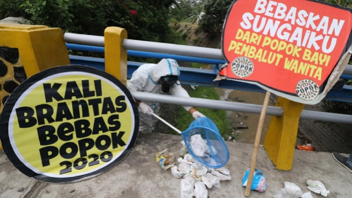  ปลาในแม่น้ำชวาตะวันออกกินผ้าอ้อมสำเร็จรูป 