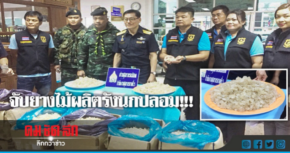 จับยางไม้ผลิตรังนกปลอม!!!