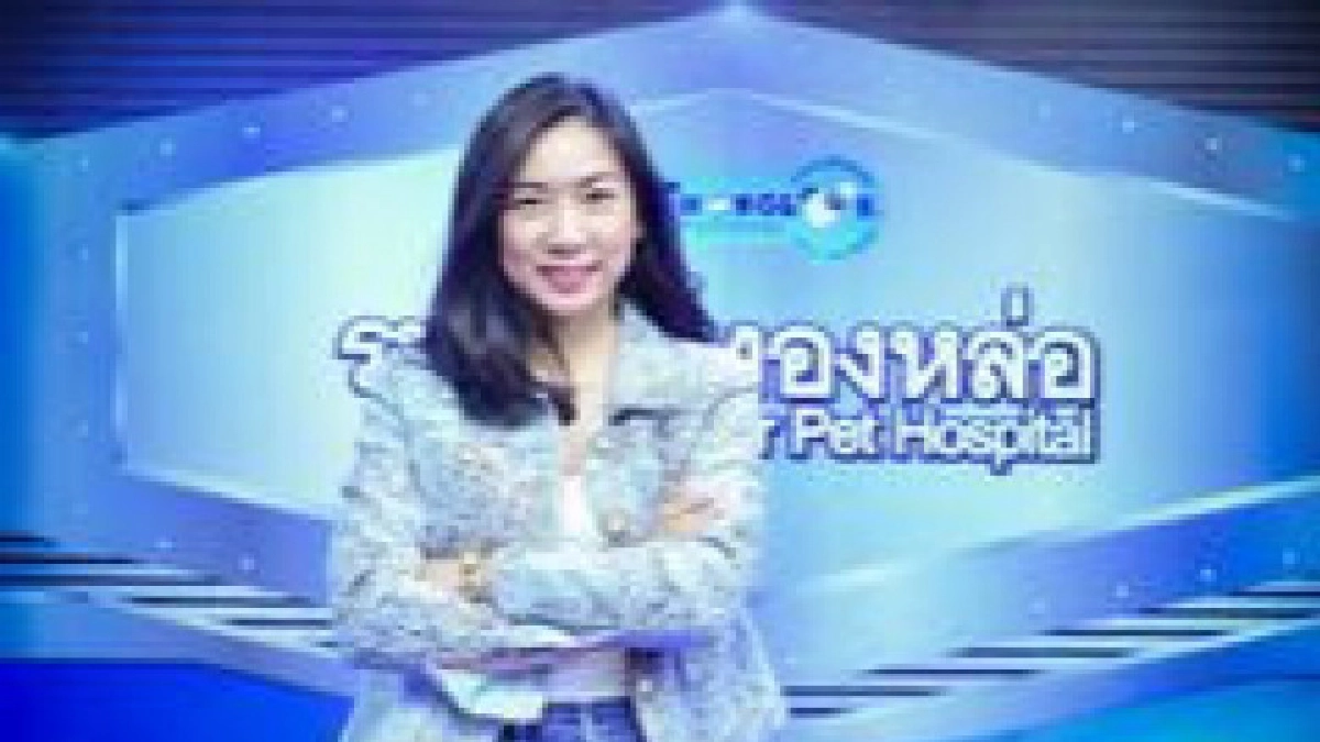 ร.พ.สัตว์ทองหล่อ เปิดบริการ "Senior care center" ร.พ.สัตว์ทองหล่อ เปิดบริการ "Senior care center"