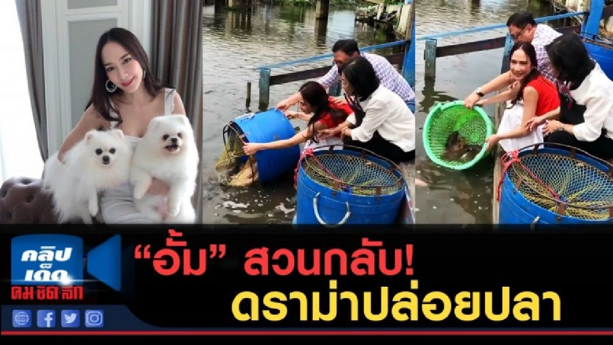 (คลิปข่าว) "อั้ม พัชราภา" ตอบกลับชาวเน็ต หลังดราม่าปล่อยปลา (คลิปข่าว) "อั้ม พัชราภา" ตอบกลับชาวเน็ต หลังดราม่าปล่อยปลา