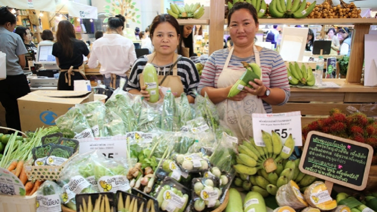 ชม-ช็อปสินค้าออแกนิกเพื่อสุขภาพ