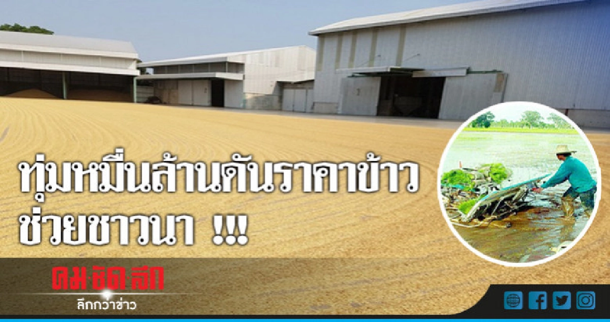 ทุ่มหมื่นล้านดันราคาข้าวช่วยชาวนา 7 ล้านครัวเรือน ทุ่มหมื่นล้านดันราคาข้าวช่วยชาวนา 7 ล้านครัวเรือน
