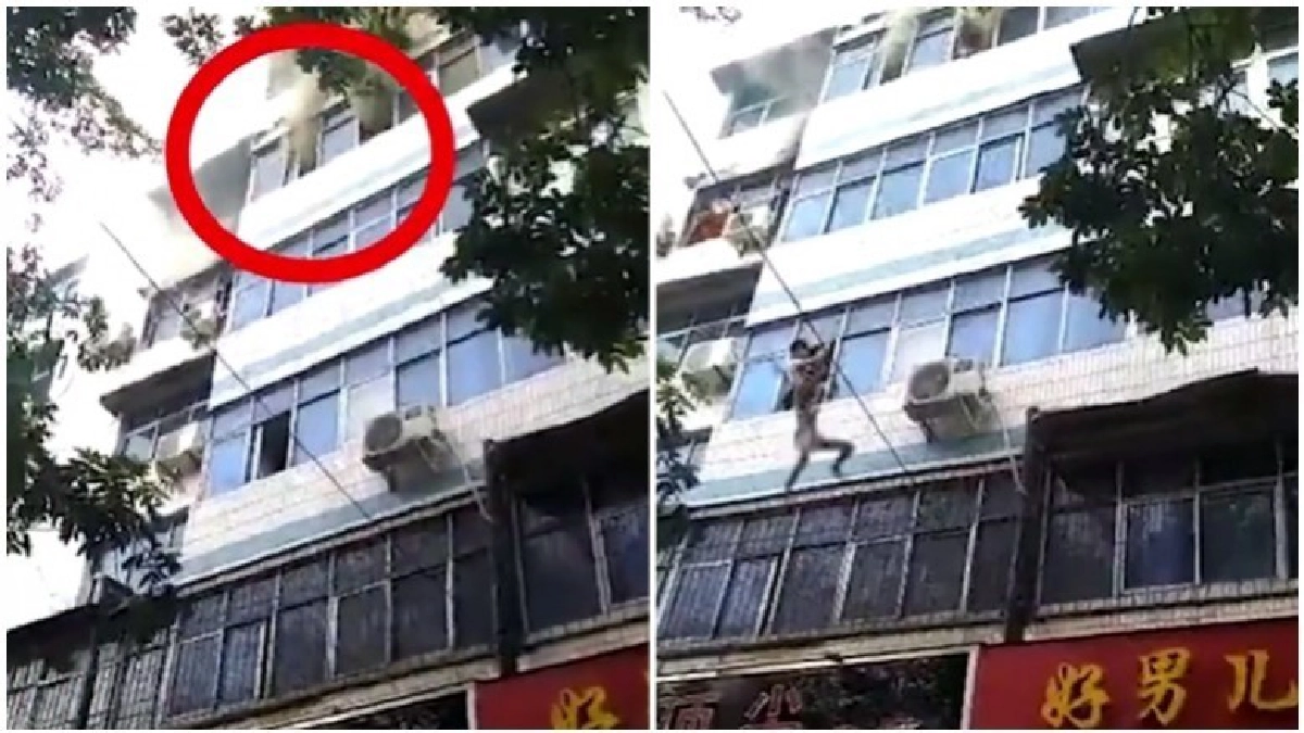 แม่ใจเด็ดโยนลูกลงจากตึกไฟไหม้ให้คนช่วยก่อนสิ้นลม แม่ใจเด็ดโยนลูกลงจากตึกไฟไหม้ให้คนช่วยก่อนสิ้นลม