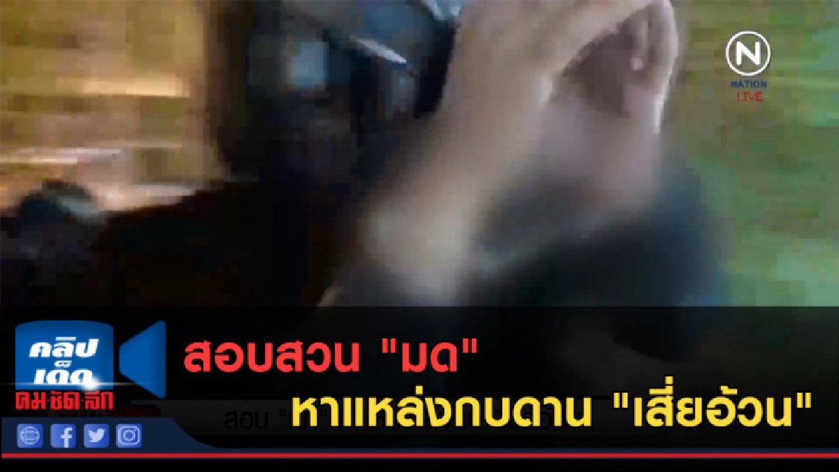 (คลิปข่าว) สอบ "มด" หาแหล่งกบดาน "เสี่ยอ้วน"