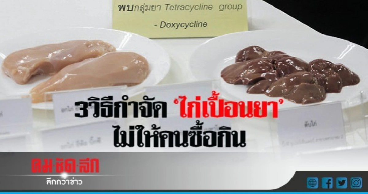 3 วิธีกำจัด "ไก่เปื้อนยา" ไม่ให้คนซื้อกิน