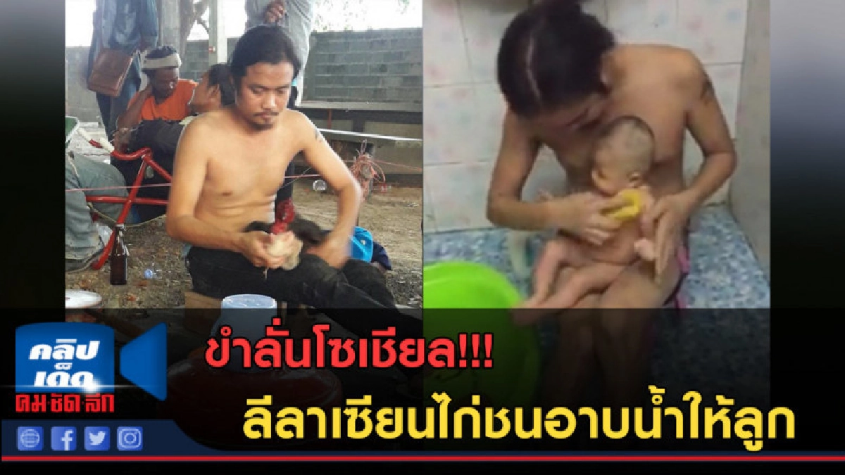 (คลิปข่าว)ขำลั่นโซเชียล! ชมลีลาเซียนไก่ชนอาบน้ำให้ลูก (คลิปข่าว)ขำลั่นโซเชียล! ชมลีลาเซียนไก่ชนอาบน้ำให้ลูก