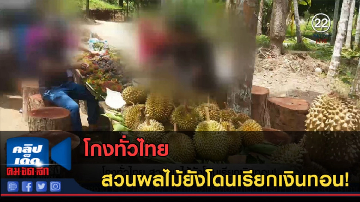 (คลิปข่าว) โกงทั่วไทย สวนผลไม้ยังโดนเรียกเงินทอน! (คลิปข่าว) โกงทั่วไทย สวนผลไม้ยังโดนเรียกเงินทอน!
