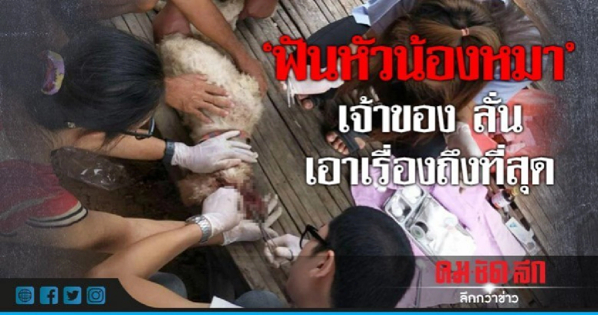 "เจ้าของน้องหมา'ถูกคนใจร้ายฟันหัว ลั่น เอาเรื่องถึงที่สุด "เจ้าของน้องหมา'ถูกคนใจร้ายฟันหัว ลั่น เอาเรื่องถึงที่สุด
